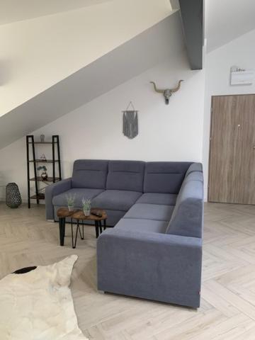 Studio Loft Leilighet Suwałki Eksteriør bilde
