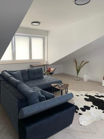 Studio Loft Leilighet Suwałki Eksteriør bilde